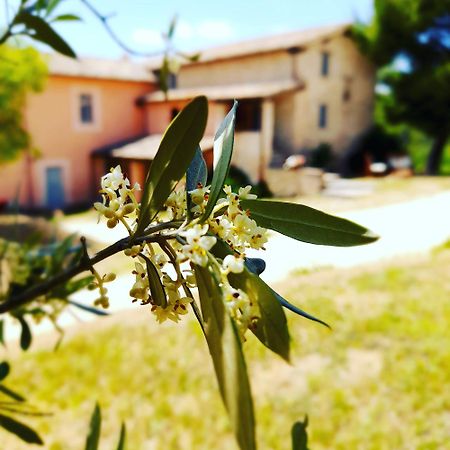 Tenuta San Felice Giano dellʼUmbria المظهر الخارجي الصورة