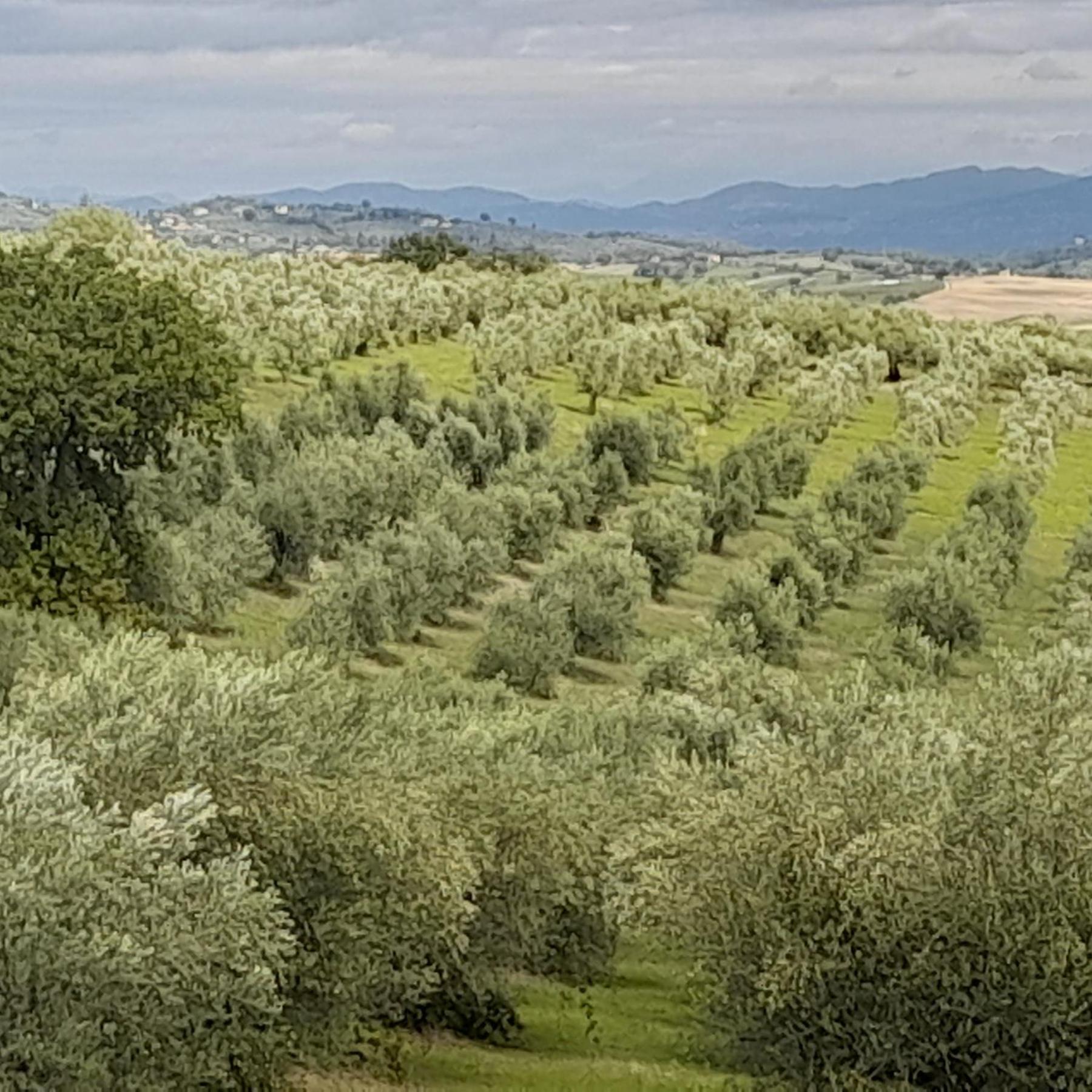 Tenuta San Felice Giano dellʼUmbria المظهر الخارجي الصورة