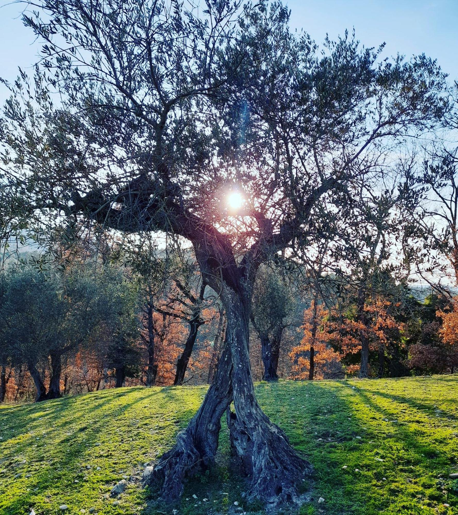 Tenuta San Felice Giano dellʼUmbria المظهر الخارجي الصورة